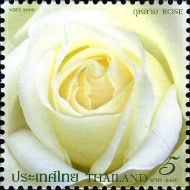 Flora (Roses)