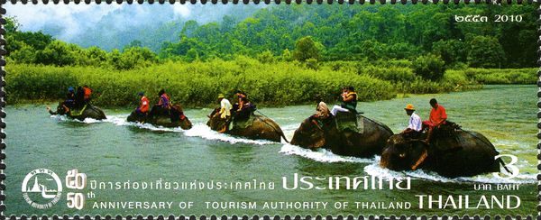 Elephants in Pai River, Mae Hong Son Province