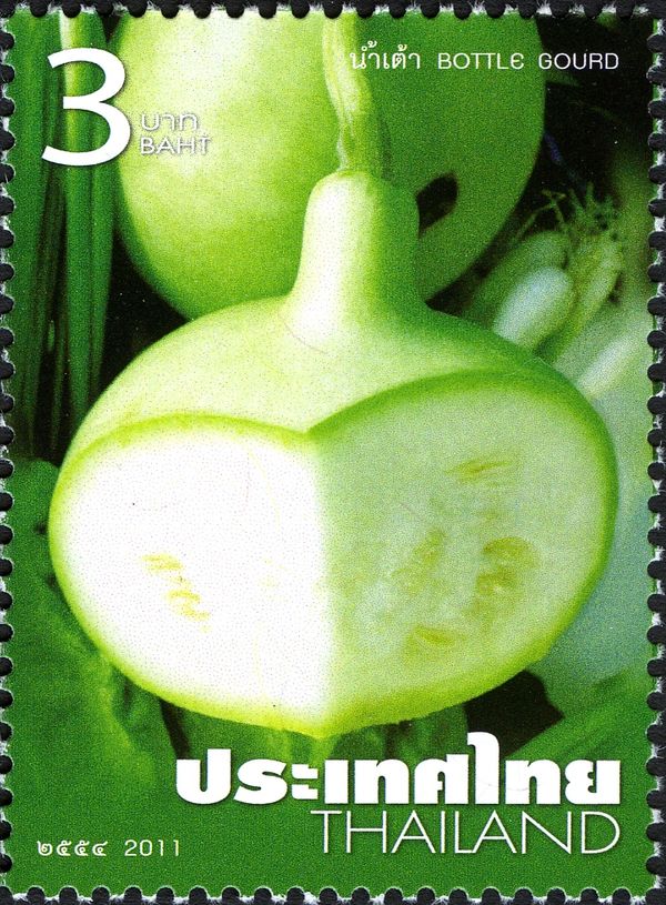 Bottle Gourd