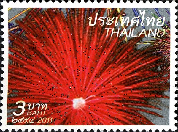 Holy Days & Celebrations (New Year)
