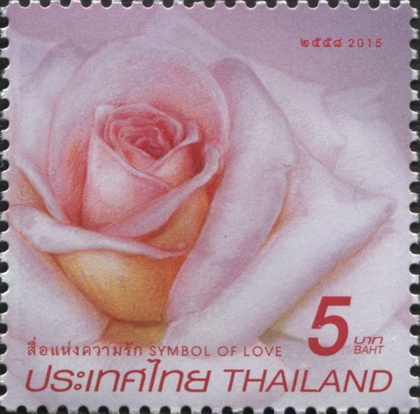 Rose - Symbol of Love
