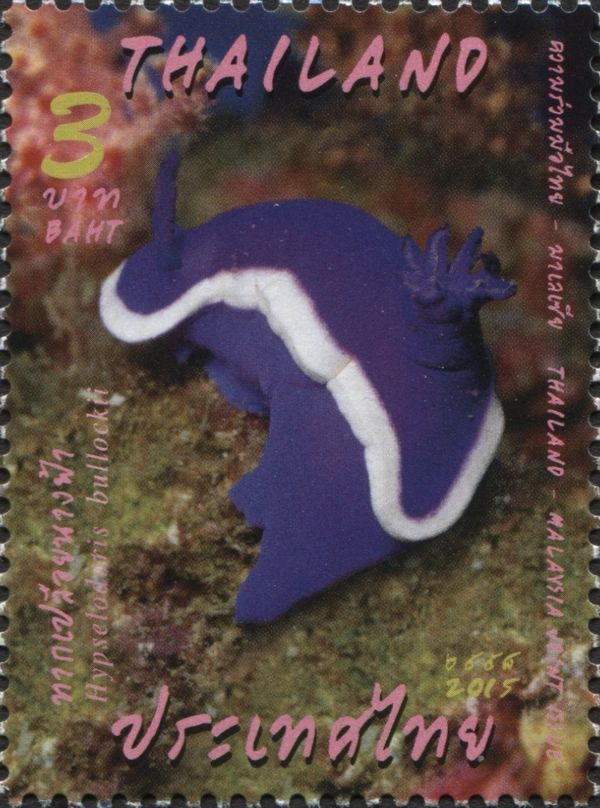 Bullock's Hyselodoris (Hypselodoris bullockii)
