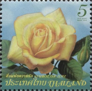 Rose - Symbol of Love