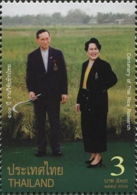 Centenary of Thai Rice Research