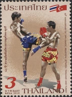 Thai Kick Boxers