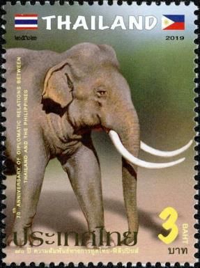 Elephant