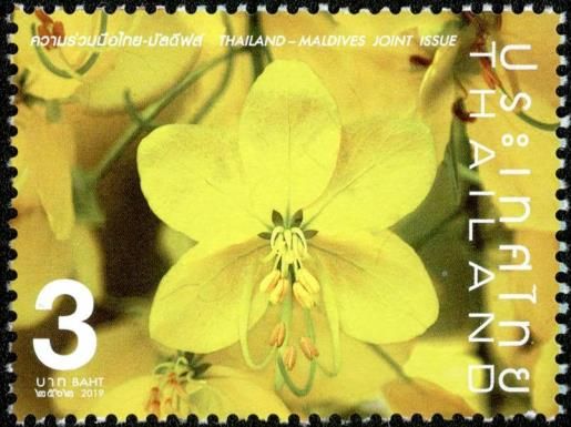 Laburnum Flower