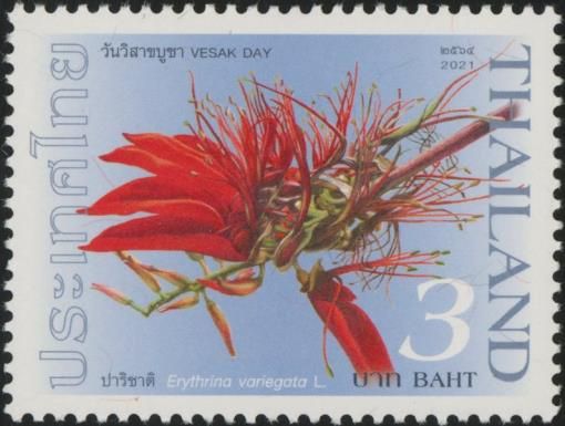 Erythrina variegata L.