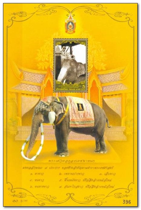 (White) Asian Elephant (Elephas maximus)