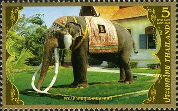 (White) Asian Elephant (Elephas maximus)