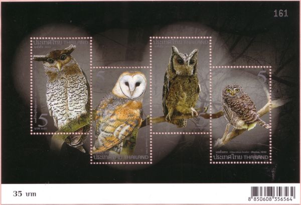 Owls