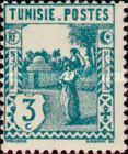 Water Carrier