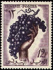 Bunch of Grapes