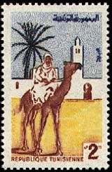 Dromedary (Camelus dromedarius), with Rider