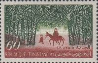 The Jerid, Donkey (Equus africanus asinus)
