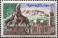 Le Kef, Horse (Equus ferus caballus)