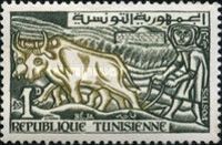 Ploughman, Cattle (Bos taurus)
