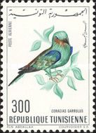 European Roller (Coracias garrulus)