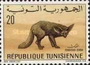 Fennec (Vulpes zerda)