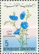 Linum usitatissimum