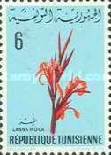 Canna Indica