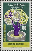World Olive Oil Year