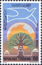2nd World Olive Oil Year
