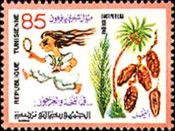 Phoenix dactylifera