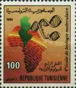4th Molecular Biology School