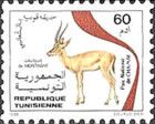 Cuvier's Gazelle (Gazella cuvieri), Chaambi Park