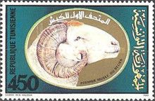 First Ram Museum