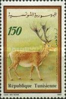 Barbary Stag (Cervus elaphus barbarus)