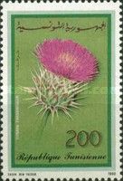 Cardoon (Cynara cardunculus)