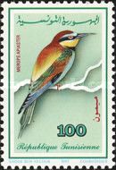 European Bee-eater (Merops apiaster)