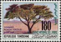 World Day for the Tree