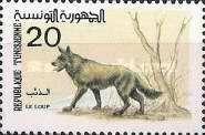 Wolf (Canis lupus)