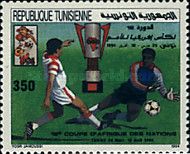 19th African Nations Soccer Cup