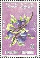 Prunus spinosa