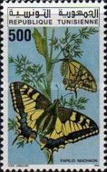 Swallowtail (Papilio machaon)