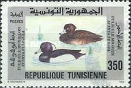 Tufted Duck (Aythya fuligula), Common Pochard (Aythya ferina