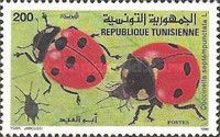 Seven-spot Ladybird (Coccinella septempunctata)