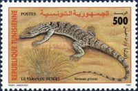 Desert Monitor (Varanus griseus)