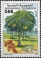 Date Palm