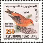 Red Crossbill (Loxia curvirostra)