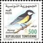 Great Tit (Parus major)