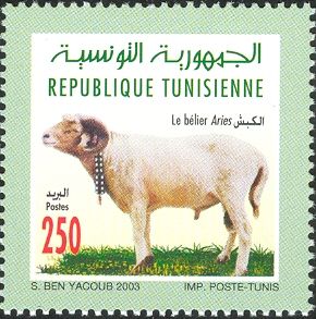 Ram (Ovis ammon aries)