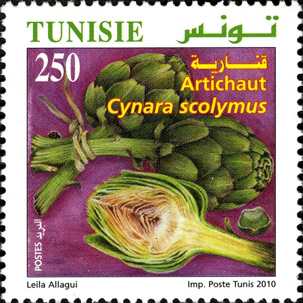 Artichokes