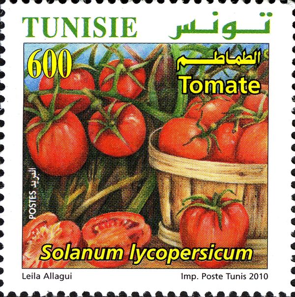 Tomatoes