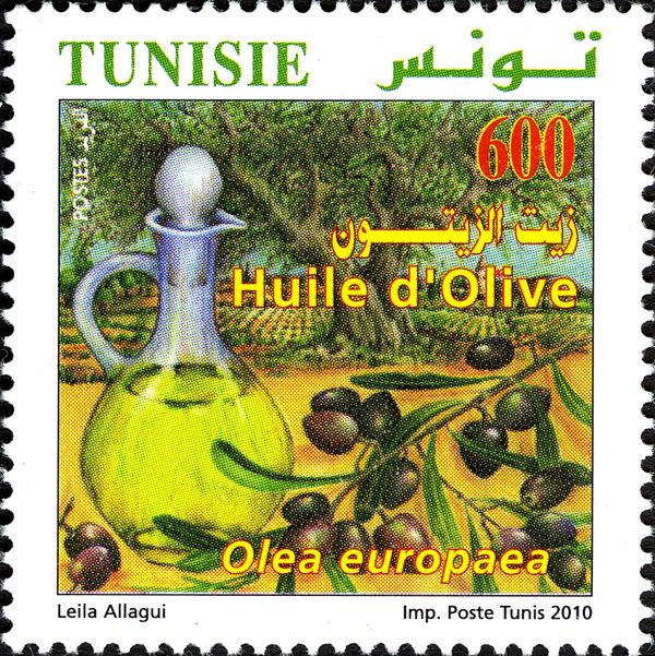 Olive Oil