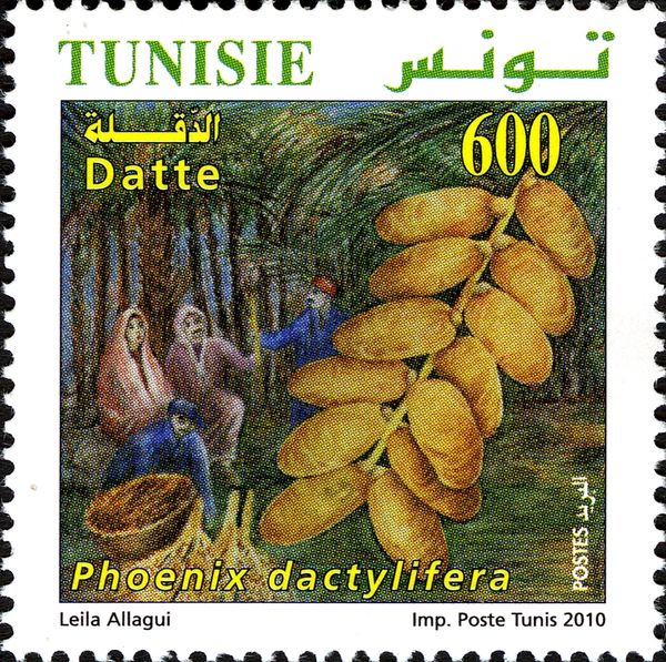 Dates